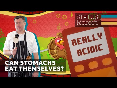 Why doesn't your stomach eat itself?