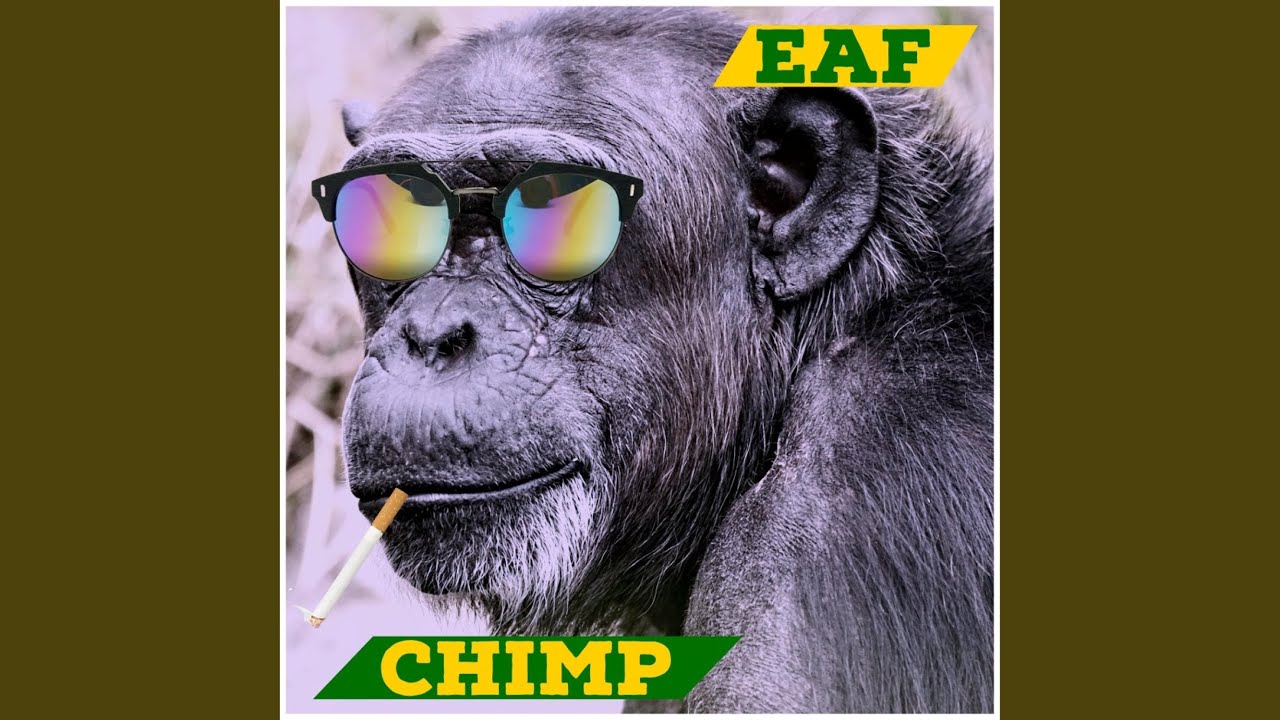 YouTube에서 Chimp 보기 YouTube에서 Chimp 보기