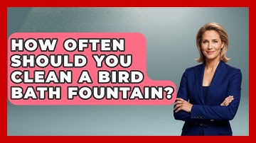How Often Should You Clean A Bird Bath Fountain? - Bird Watching Diaries