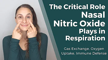 Critical Role of Nasal Nitric Oxide in Respiration-Gas Exchange, Oxygen Uptake, Perfusion, Immunity