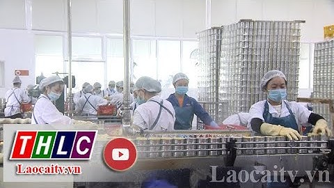Dốc toàn lực hỗ trợ người dân tiếp cận nguồn vốn tín dụng | THLC