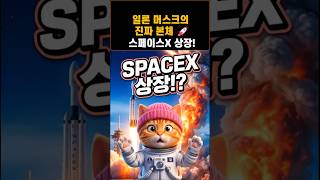 역대급 IPO 스페이스X 상장일 &amp; 티커 총정리! 일론 머스크의 진짜 본체 등판 🚀 #ipo #미국주식 #주식공부