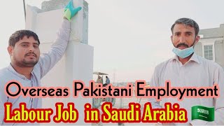 Labour Job Ep23 in Saudi Arabia Riyadh   | DanishPardesi | Urdu Video