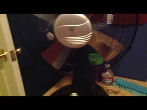 16 Westpointe Desk Fan @ElectricianOfFans10