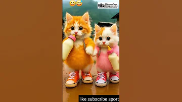 Beautiful Pink Yellow Two Cute Cat Dance Walking Kitten Drinking Milk 214 Dudidudidam Shorts 2025 