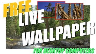 LIVE Video Wallpaper: Windows 10, 8, 7 Desktop and Laptop screenshot 3