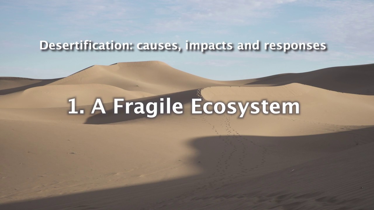 desertification igcse case study