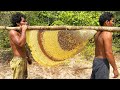 Primitive technology harvest beehive and honey by brave bushmen