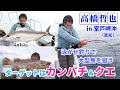 高橋哲也 高知・室戸岬沖の泳がせ釣りで大型魚カンパチやクエを狙う!