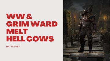 Whirlwind + Grim Ward Barbarian build with x2 Grief Berserker axes VS Hell cows | D2R 2.5