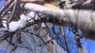 Времена года в моём фото(, 2013-02-11T09:22:08.000Z)