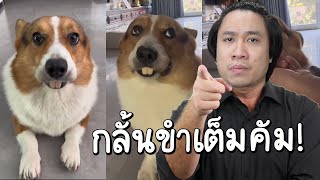 หยุดขำ = ห ยุ ด บ า ป #กลั้นขำ ไม่คัม