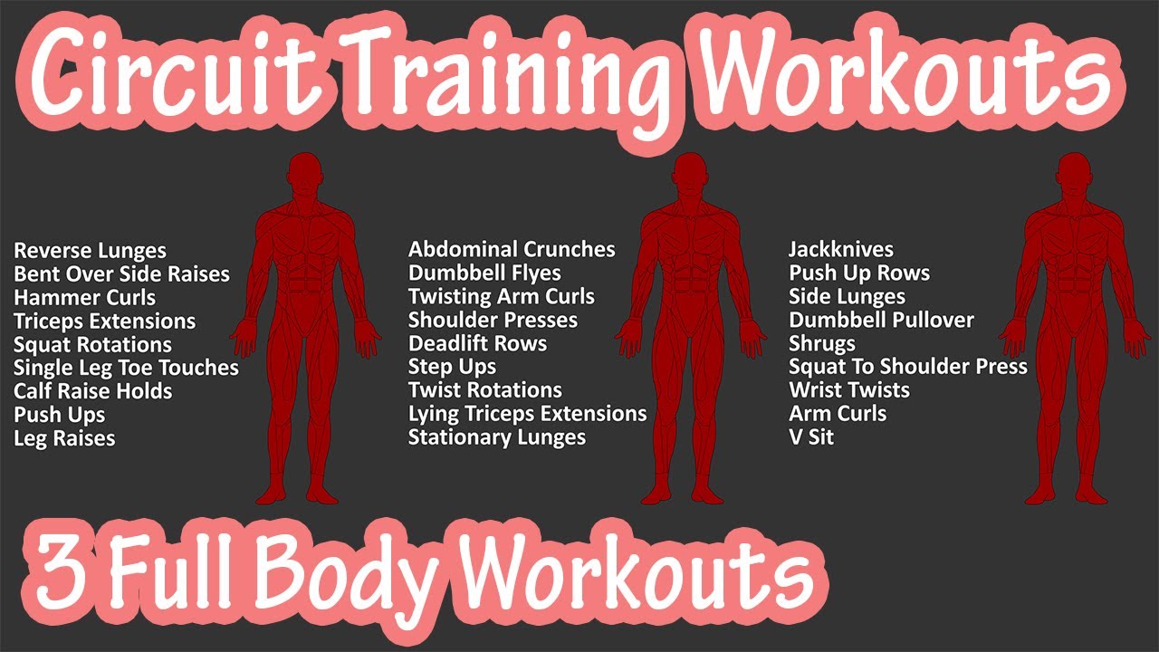 Full Body Circuit Training Routines For Beginners Using (With) Dumbbells  And Body Weight At Home 