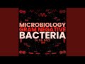 Shigella 