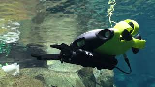 QYSEA- Underwater ROV with AI Vision Lock