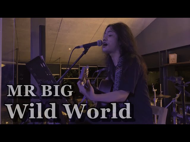 MR BIG - WILD WORLD (COVER) class=