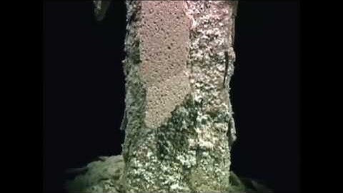 Lab Time Lapse - NaSO4 Low RH on Limestone detail 22 sec - Eric Doehne