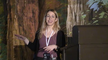 SVG and GreenSock for Complex Animation - Forward 4 Web Summit