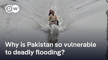 Pakistan torrential floods leave dozens dead | DW News