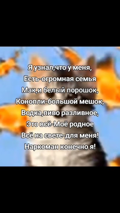 я узнал, что у меня есть огромная семья. - YouTube