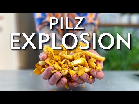 Video: Pilzsuppe Mit Pfifferlingen. Schritt-für-Schritt-Rezept Mit Foto