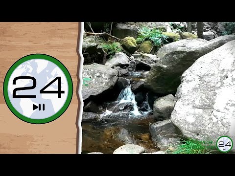 Sonido de CASCADA Pequeña y RÍO 💧💦 Agua de río Cayendo y Fluyendo relajante para Dormir y Relajarse