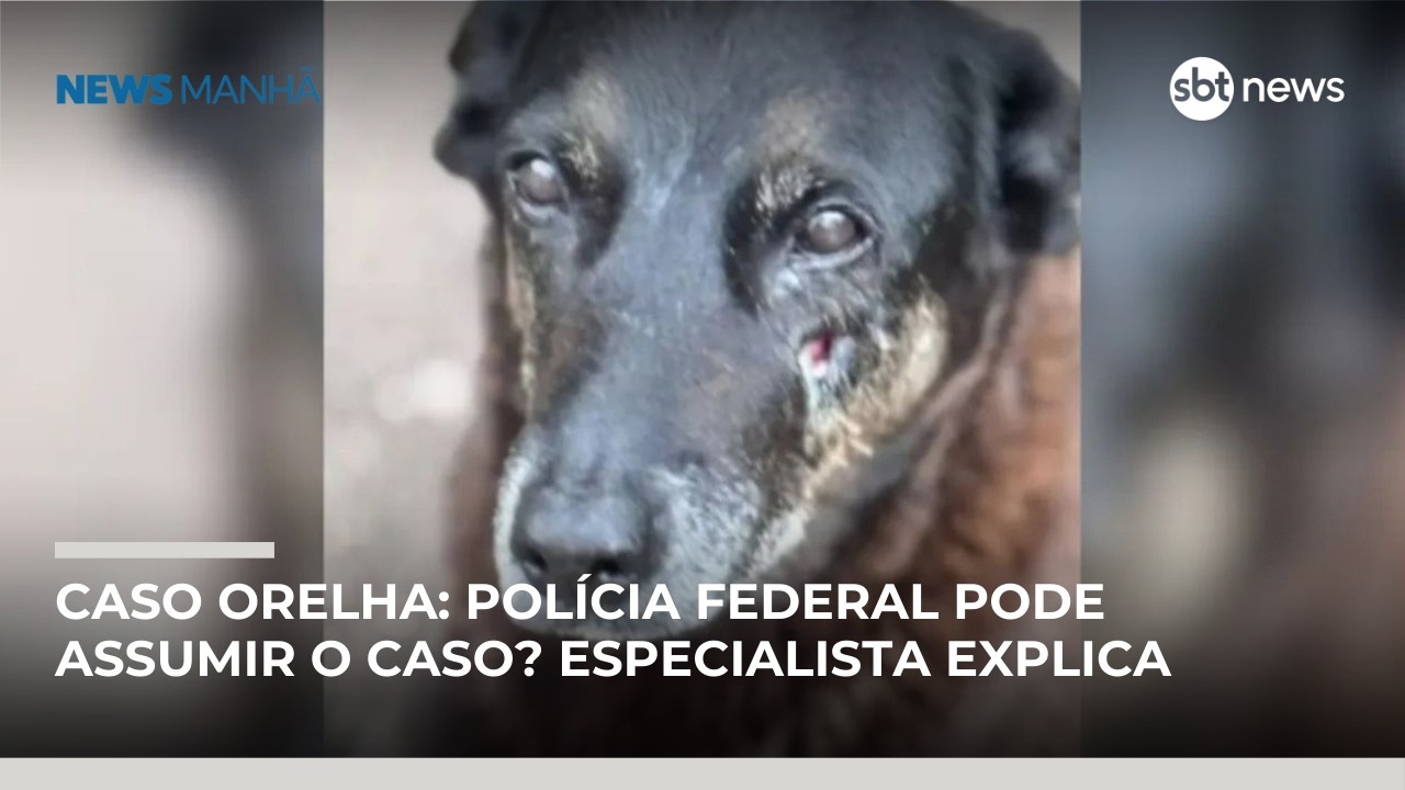 Especialista explica: morte do cão Orelha gera pedido de federalização da investigação | #NewsManhã
