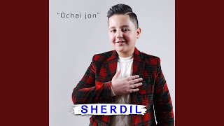 Modar - Sherdil
