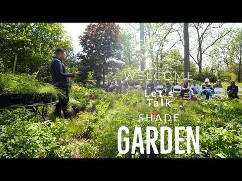 Vídeo: Midwest Shade Garden: creació d'un jardí d'ombra al mig oest