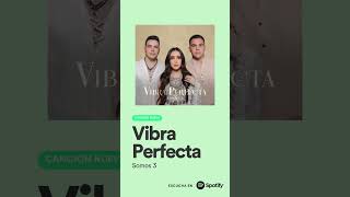 Escucha ✨VIBRA PERFECTA✨ en Spotify #vibraperfecta #somos3 #musica #parati