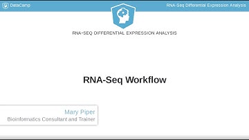 R Tutorial : RNA-Seq Workflow