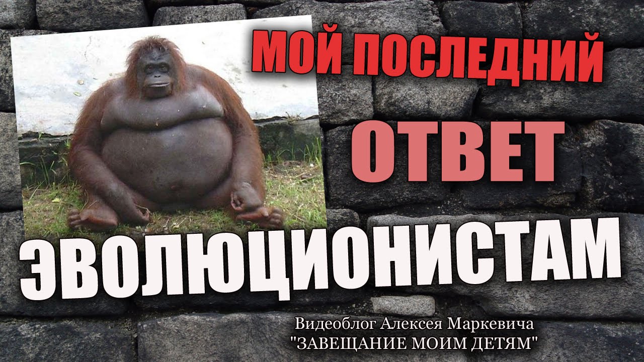 Последний ответ неделю