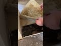 貴重な古い床