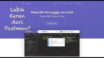 API Testing - Insomnia Lebih Keren dari Postman