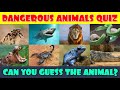 Guess the 63 Dangerous Animals