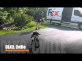 Distraction Proofing with Fedex Lady! | Collie Mix | Charlottesville Dog Training Distraction Proofing with Fedex Lady! | Collie Mix | Charlottesville Dog Training