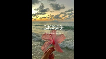قل متاع الدنيا قليل🌸قرآن كريم 🌸القارئ هيثم الدخين🌸
