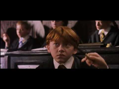 Harry Potter Barbara Ann