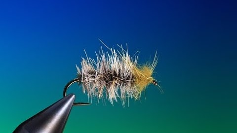 Tying the House Building caddis with Barry Ord Clarke