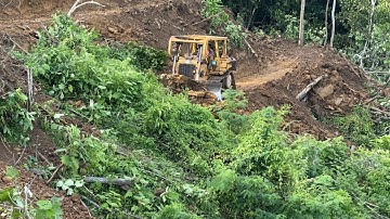 The Process of Forming Palm Terraces with D6R XL Bulldozers on Mountain Slopes