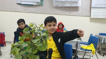 استراتيجية الشيخ الصغير سورة الأعلى من الآية ١حتى الآية ١٤