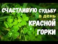 Праздник Красная горка/Сделай это в Фомино воскресенье на СЧАСТЛИВУЮ СУДЬБУ!