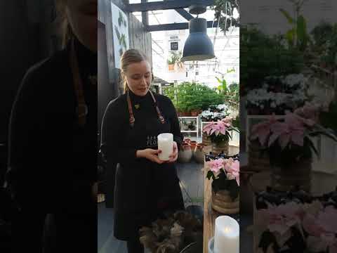 Video: Kukka Kynttilä