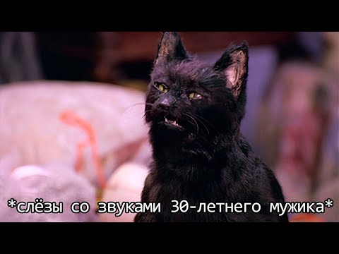 Если бы кошки могли говорить. Кот Сэлем, обычный домашний кот (Переозвучка)