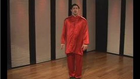 Kung Fu : Tan Tui Demo