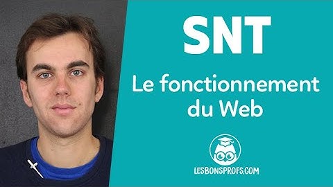 Le fonctionnement du Web - SNT - Seconde - Les Bons Profs