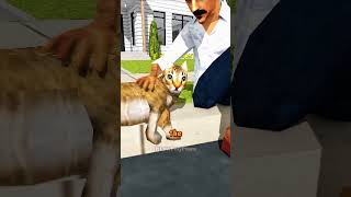 Watch Your Cat’s Tail Before You Get Bitten