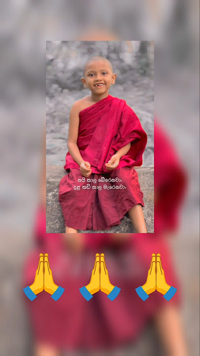 දල කඩි කාල මැරෙනව 🥰🙏 #viral #trending