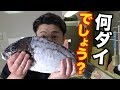 【梳き引き】〇〇ダイでヒゲの兄貴が食べたいモノを作ります！！