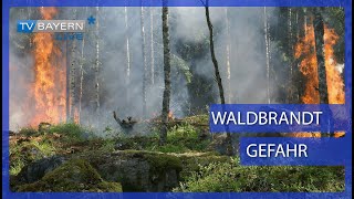 Waldbrandgefahr